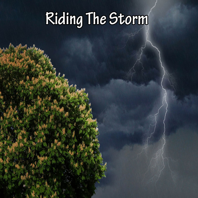 Riding The Storm cover art
