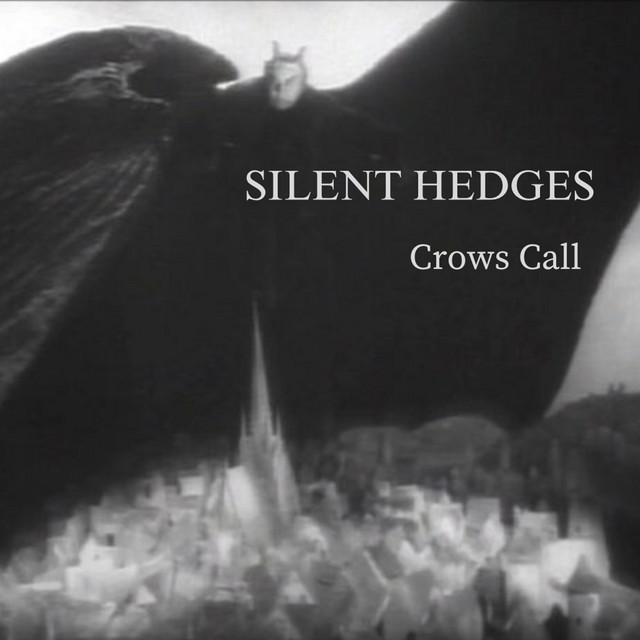 Pochette de Crows Call