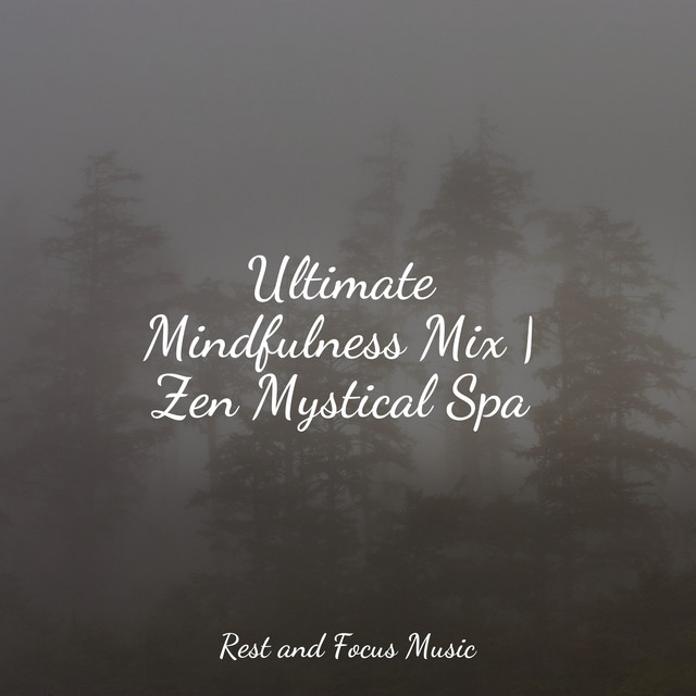 Ultimate Mindfulness Mix | Zen Mystical Spa - Album by Children's Music ...
