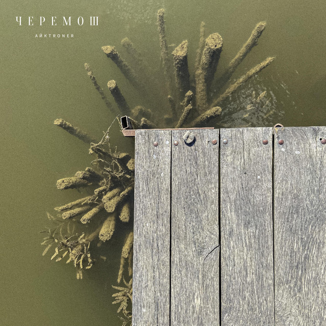 Cover art: Cheremosh (remas) — Myroslav Trofymuk aka AЙKTRONER