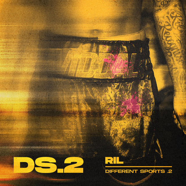 DS.2 cover art