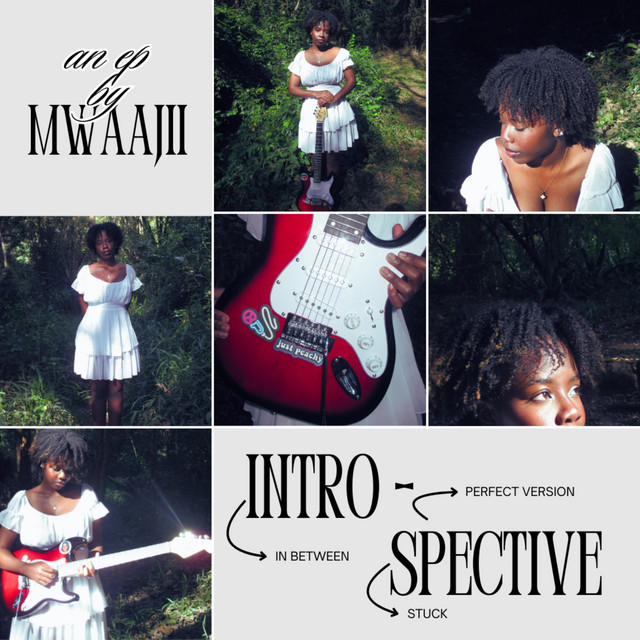 INTROSPECTIVE cover art
