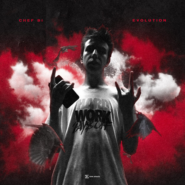 Evolution cover art