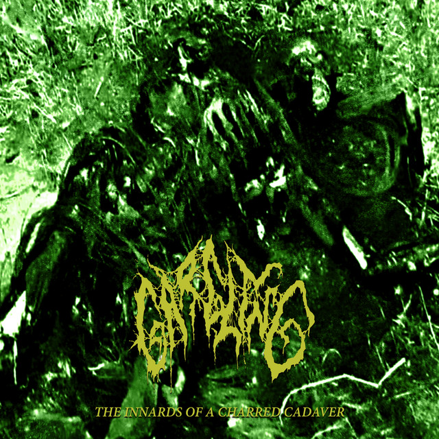 The Innards Of A Charred Cadaver cover art