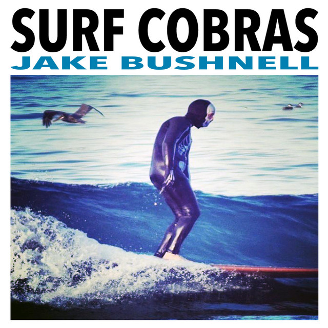 Surf Cobras cover art