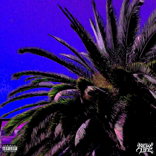 preference cover art