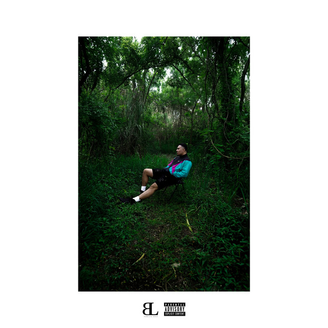 迷失在情绪里 cover art