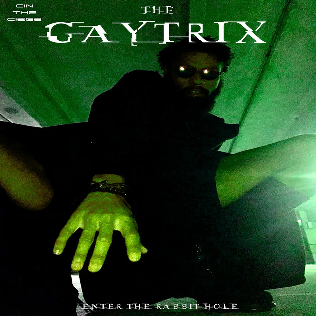 The Gaytrix: Enter the Rabbit Hole cover art