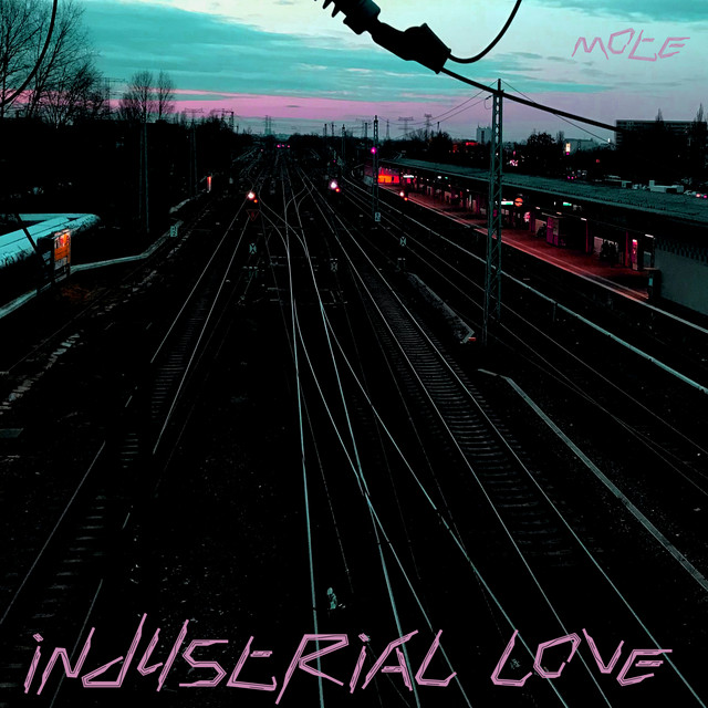 Industrial Love cover art