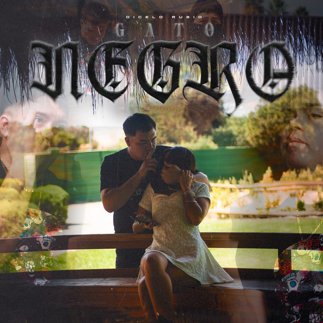 Gato Negro