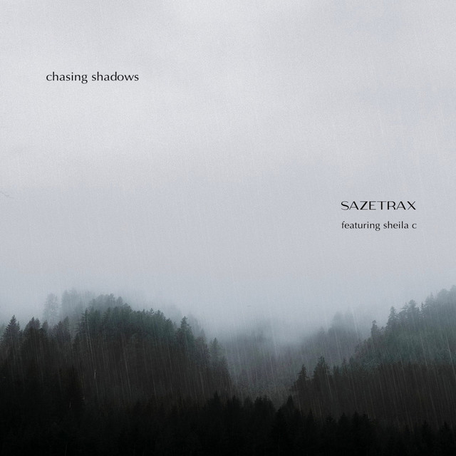 Chasing Shadows cover art