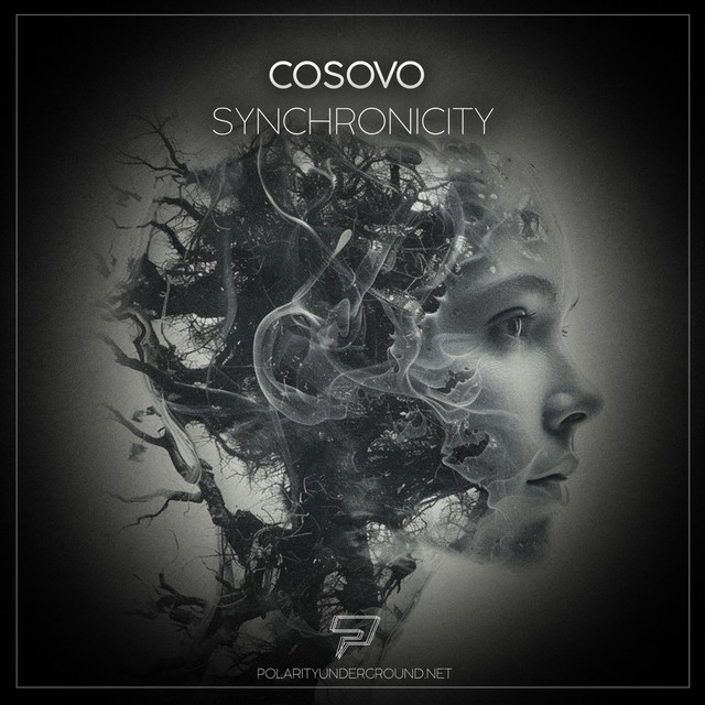 Project Hollowmind album art