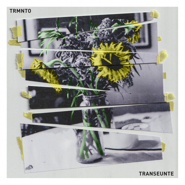 Transeúnte cover art