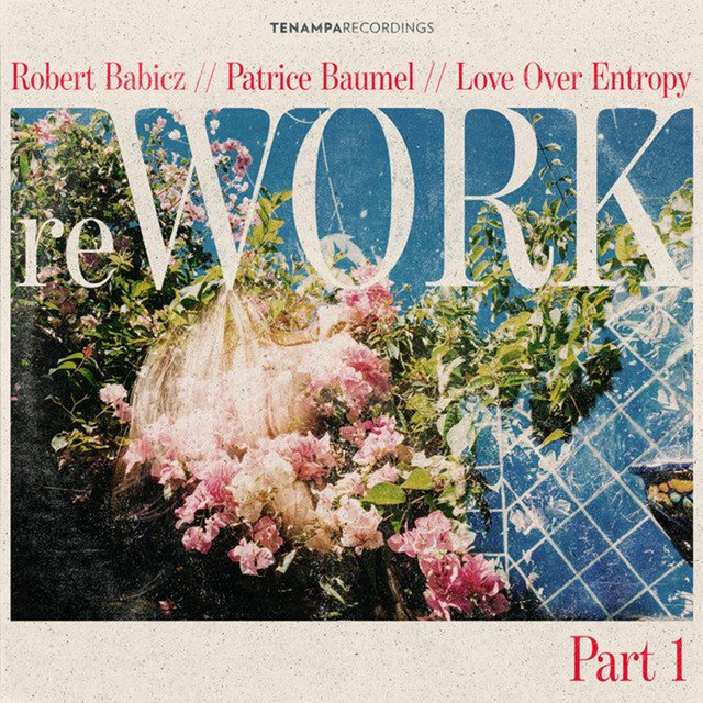 Vendor - Robert Babicz Remix cover art