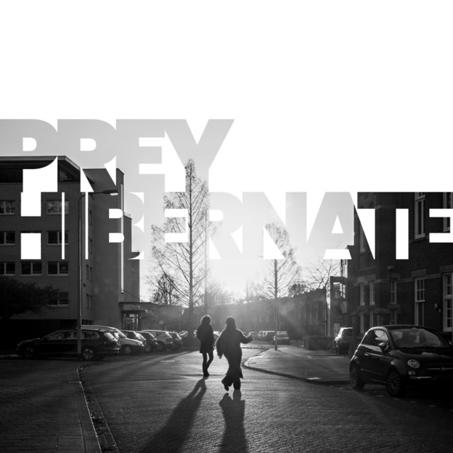 Hibernate cover art