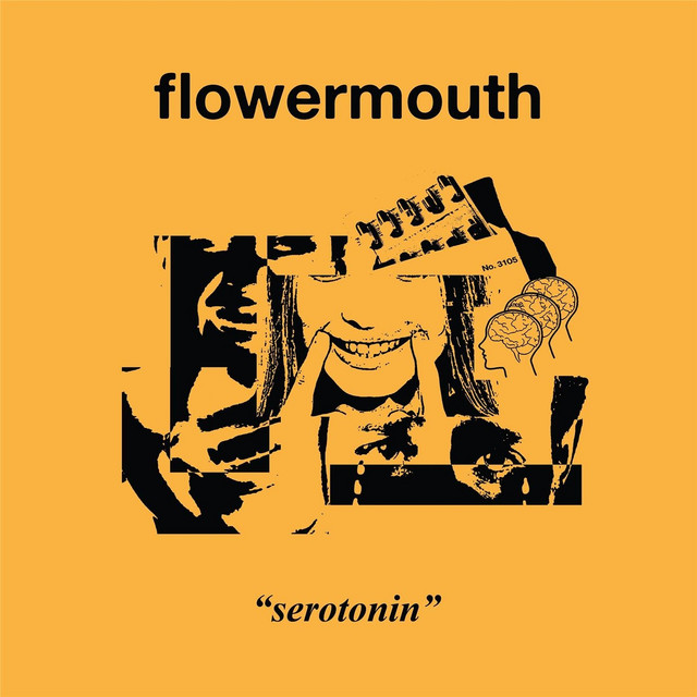 Serotonin cover