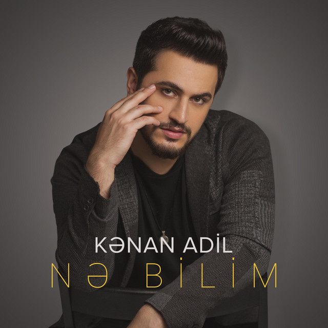 Nə Bilim cover