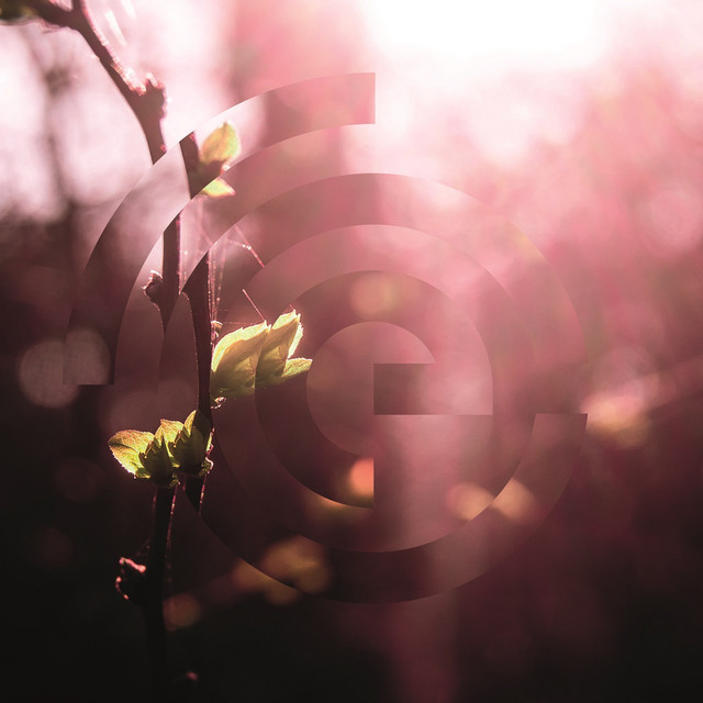 New Life cover art