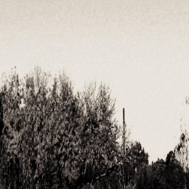 ENDGARDEN cover art