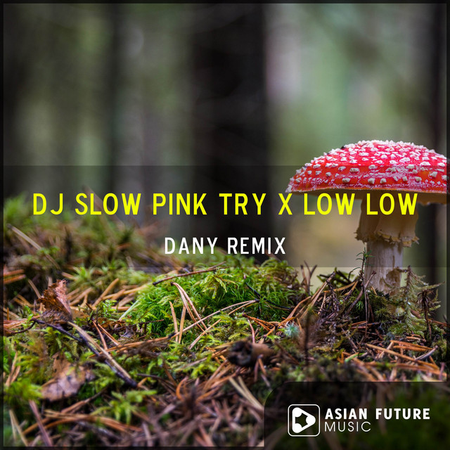 DJ SLOW PINK TRY X LOW LOW - Single by Dany Remix | Spotify