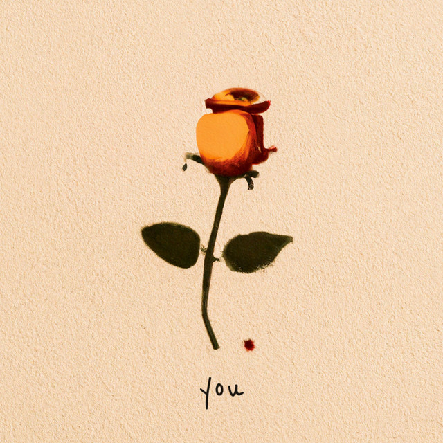 You cover