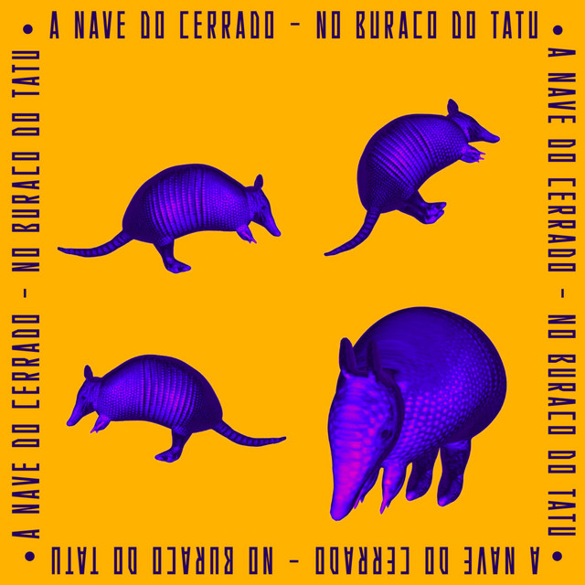 No Buraco do Tatu