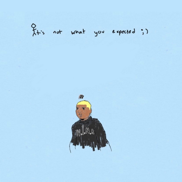 It's not what you expected cover art