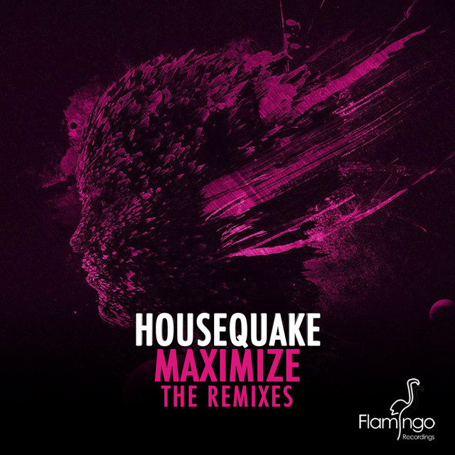 Maximize - Roul and Doors Remix