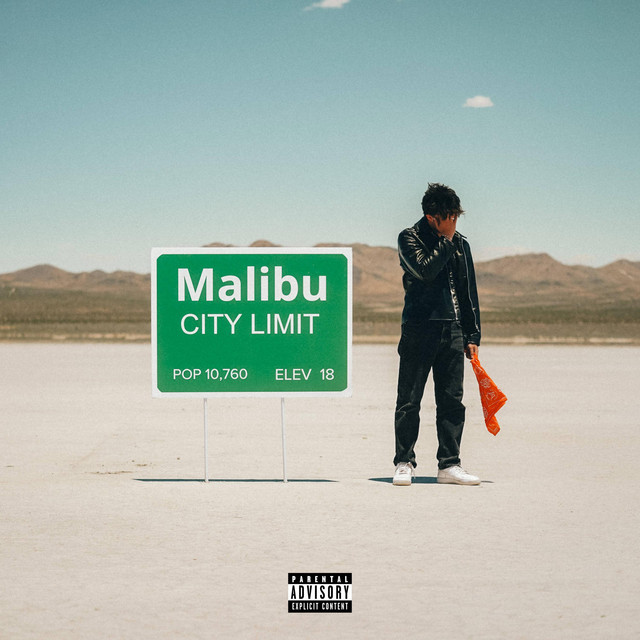 UNA NOCHE EN MALIBU cover art