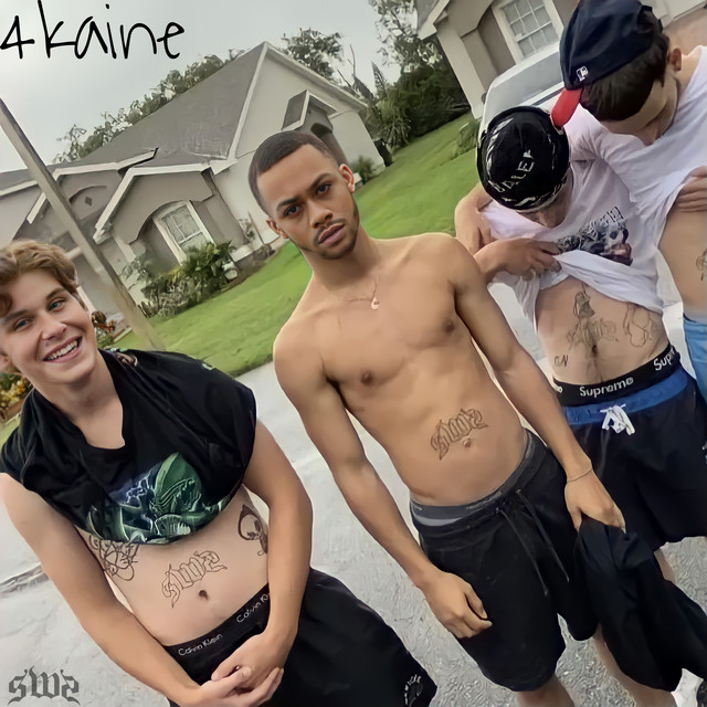 4kaine cover art