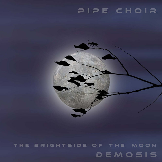 The Brightside of the Moon Demosis cover