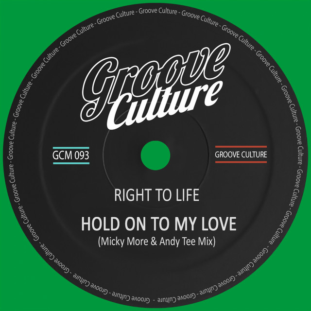 Hold On To My Love - Micky More & Andy Tee Mix album art