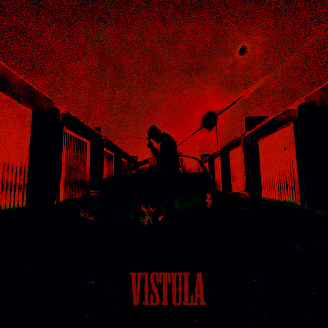 V1STULA cover art