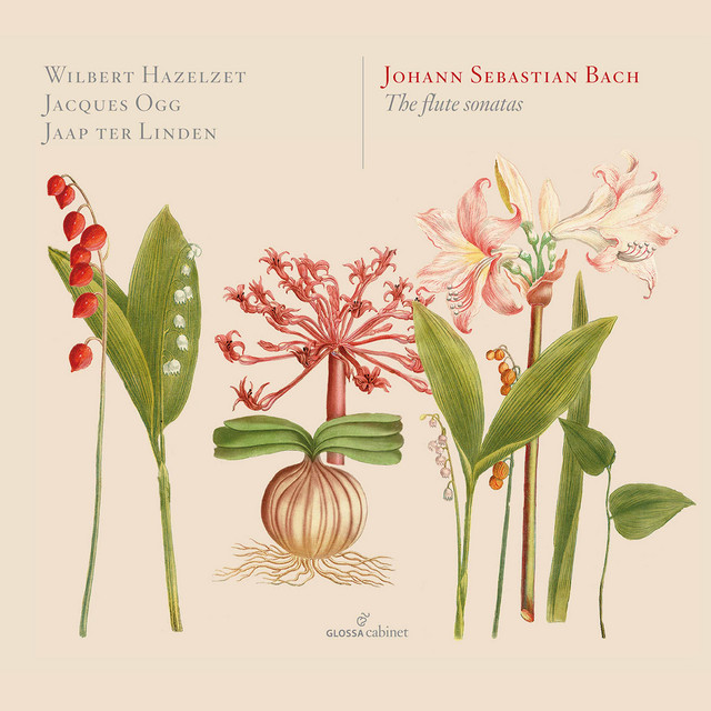 J.S. Bach: The Flute Sonatas cover art