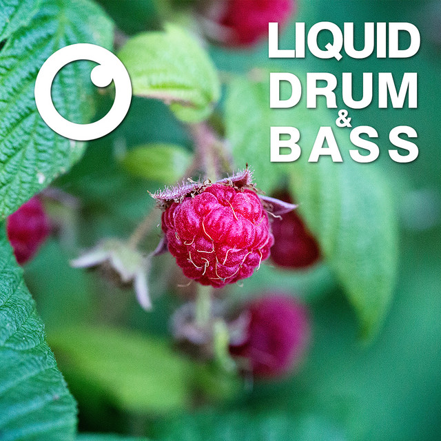 Liquid Drum & Bass Sessions 2020 Vol 13 artwork