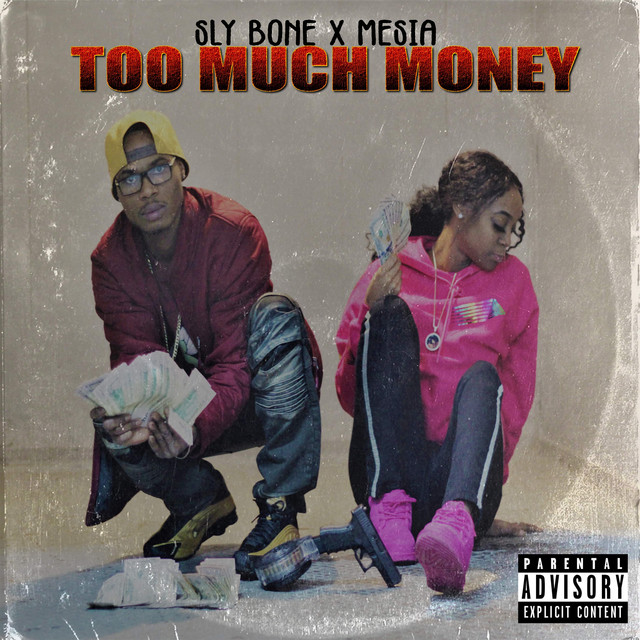 $Too Much Money$ - Single by Sly Bone | Spotify