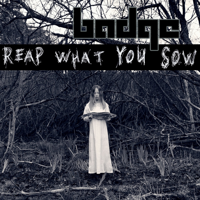 Reap What You Sow cover