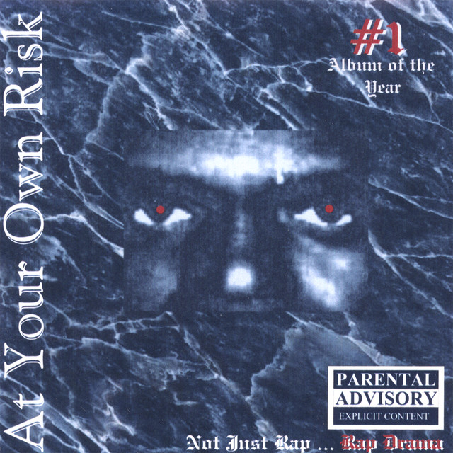 At Your Own Risk cover art