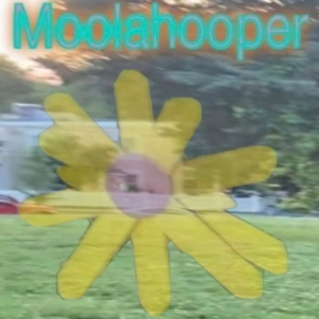 Moolahooper cover art