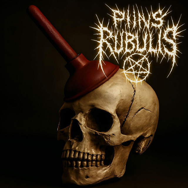 Pilns Rubulis cover art