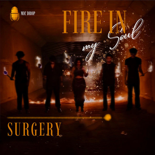 Fire In My Soul cover