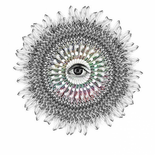 Venus Mayan - Dty Remix cover art