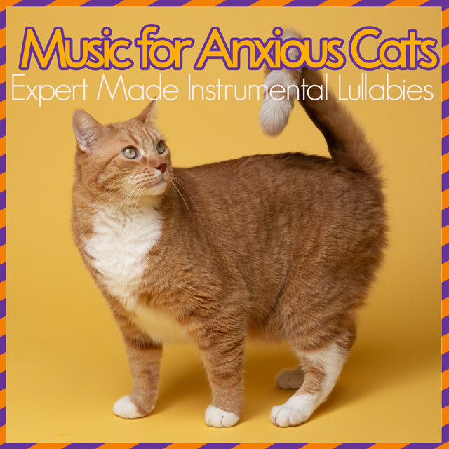 Music for Anxious Cats - Expert Made Instrumental Lullabies - Album by ...