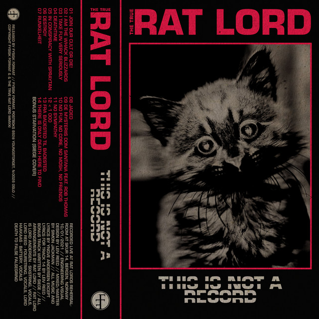 This Is Not a Record cover art