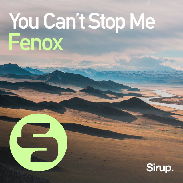 You Can't Stop Me cover