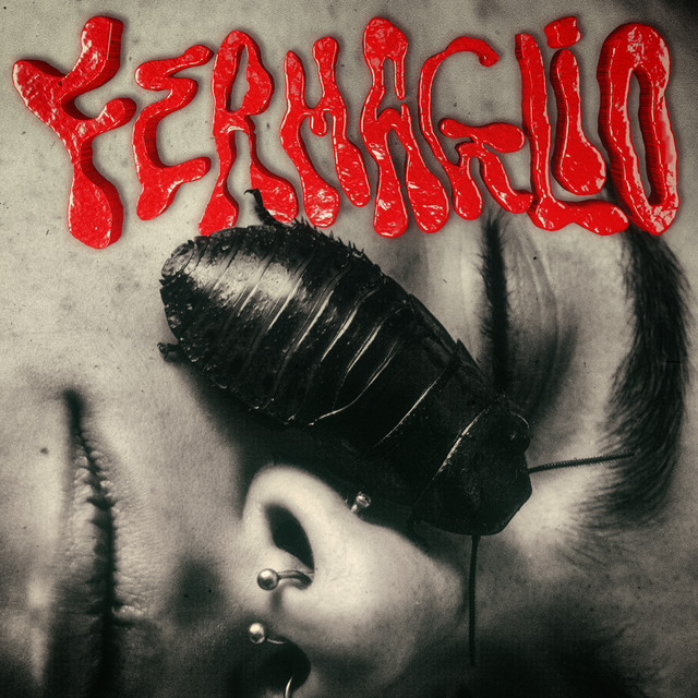 Fermaglio cover art