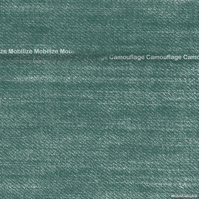 Camouflage cover art