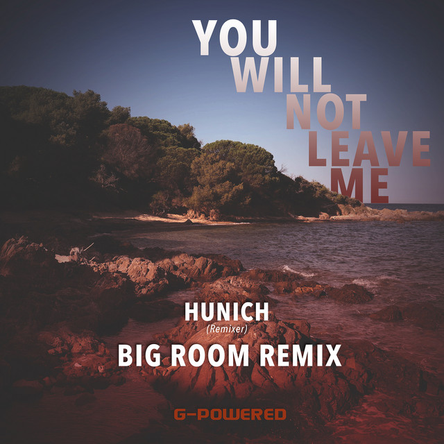 You will not leave me - Big Room Remix