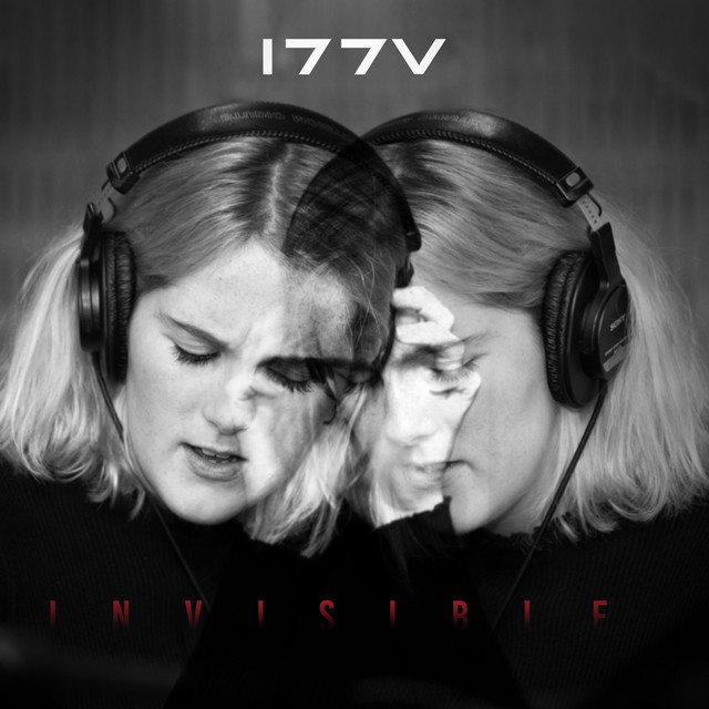 Invisible cover art