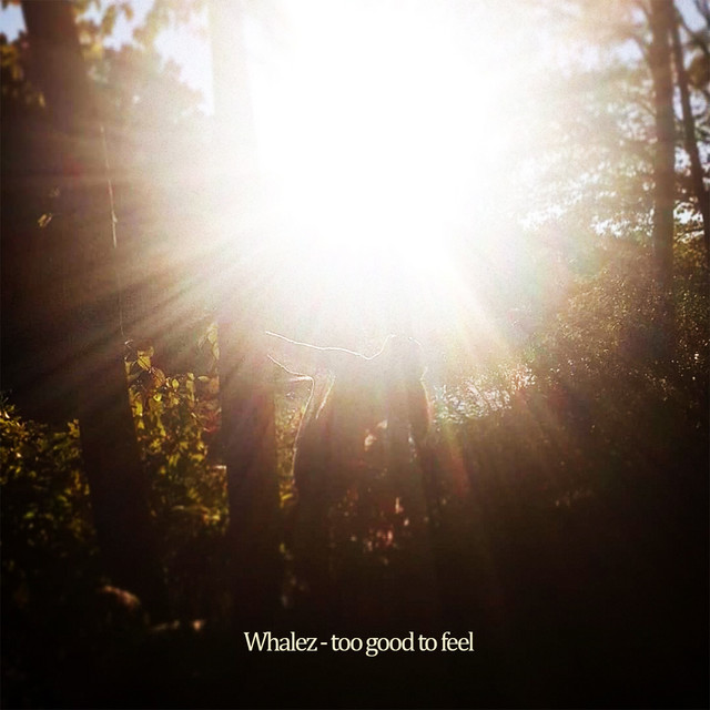 Too Good To Feel cover art